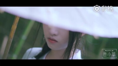 鹿小草