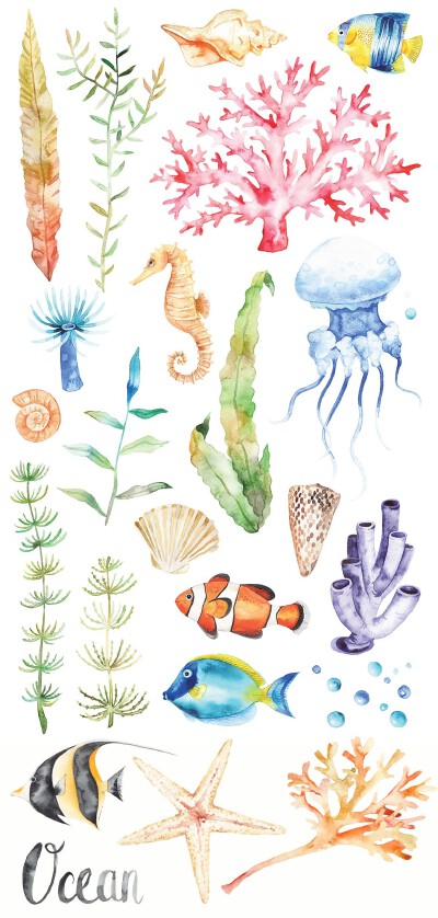 手账 水彩 植物绘画 海底世界 平面设计 贴纸素材
