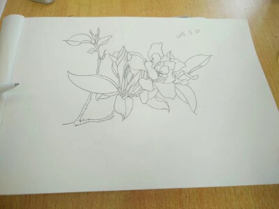 铅笔画