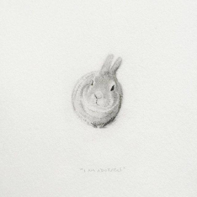 动物手绘插画~【插画师：Shawnalee Anderton】 ​