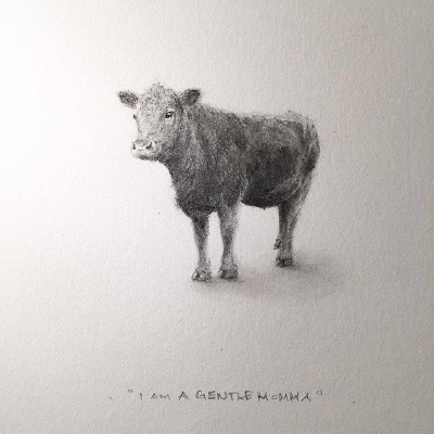 动物手绘插画~【插画师：Shawnalee Anderton】 ​