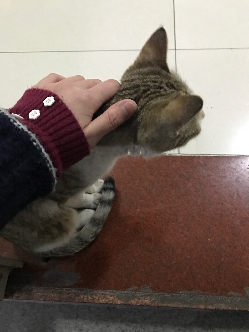 喵呜