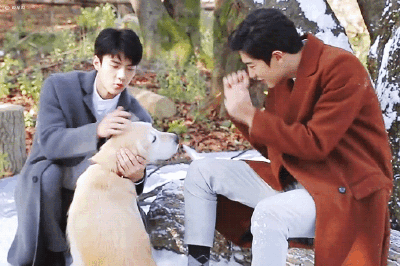 EXO 朴灿烈