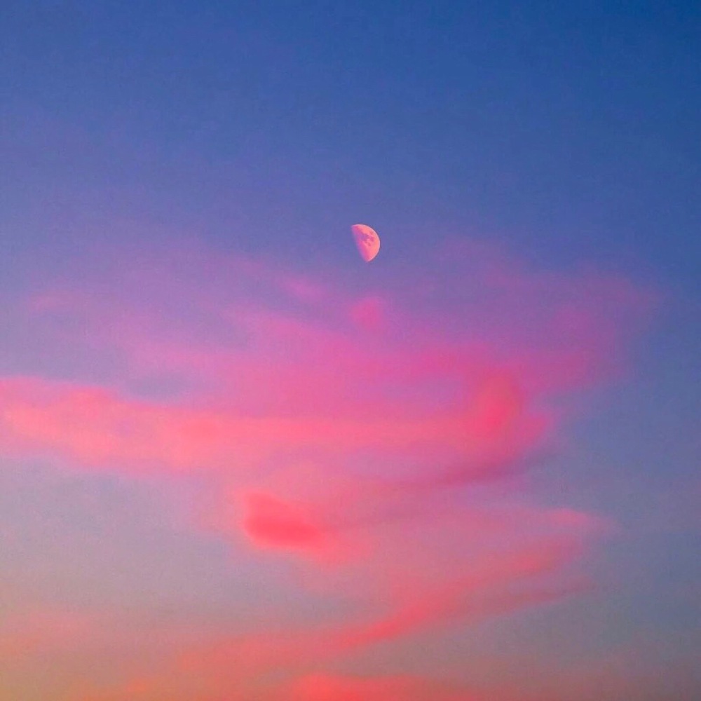 は蛋｜