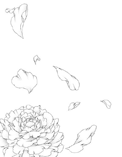 线稿