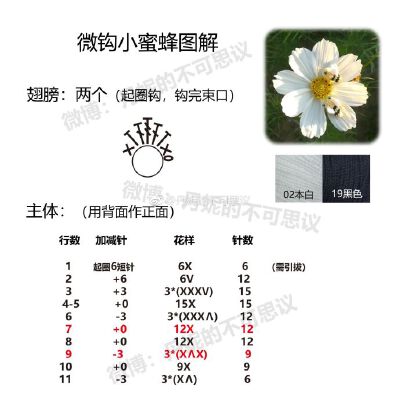 蜜蜂-2