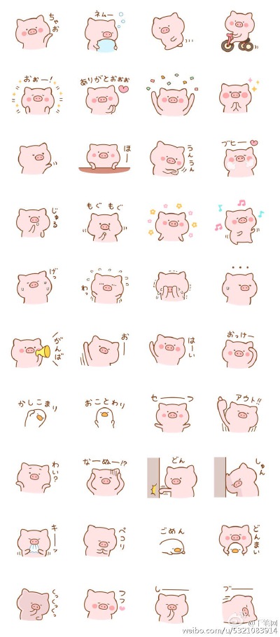 猪