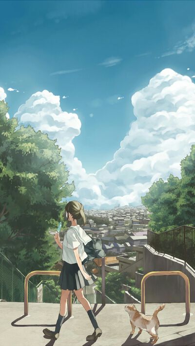 壁纸 背景