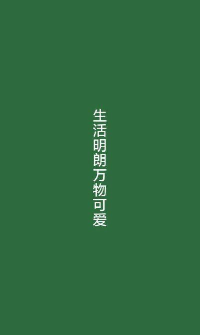 壁纸 背景