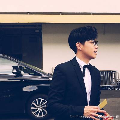 hins