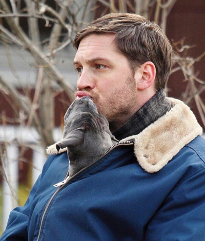 tom hardy 湯姆哈迪 湯甜