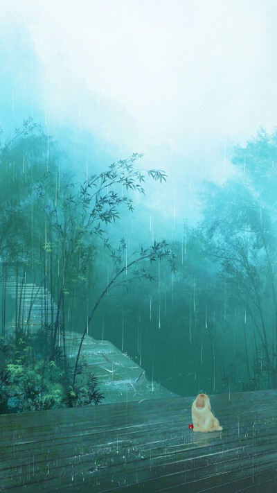 古 猫