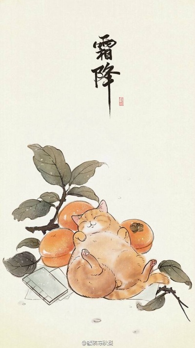 古 猫