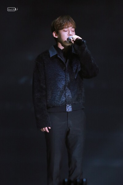 EXO CHEN 金钟大 Kim Jong Dae 美男