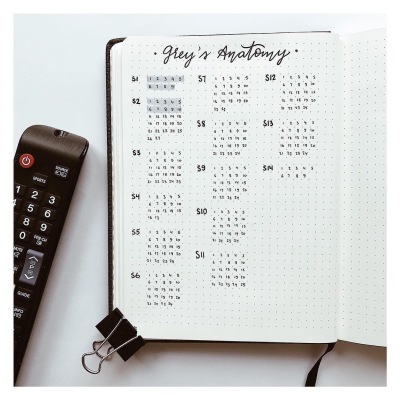BUJO