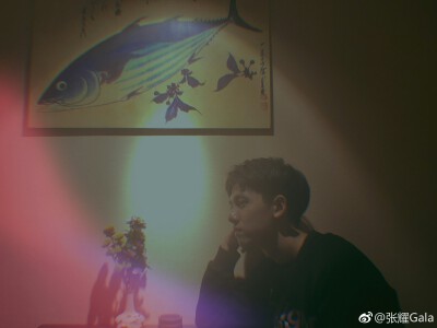 张耀.Gala