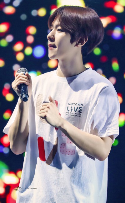 #伯贤# 智利 SMTOWN