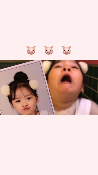 权律二♡
