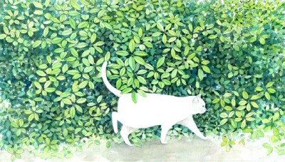 猫咪 插画