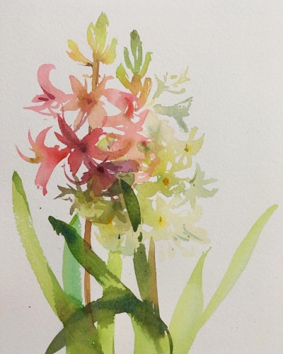 花卉