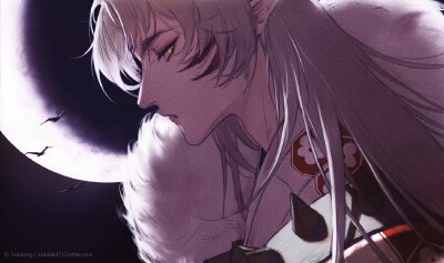 犬夜叉，杀生丸 画师 Toduring 动漫，少年