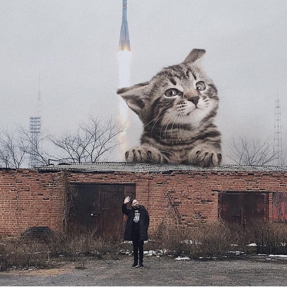 嘿