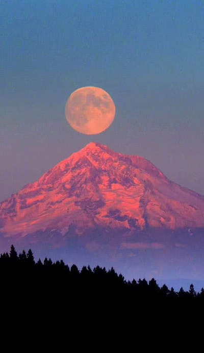 壁纸