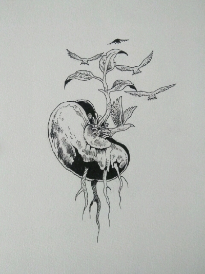 黑白