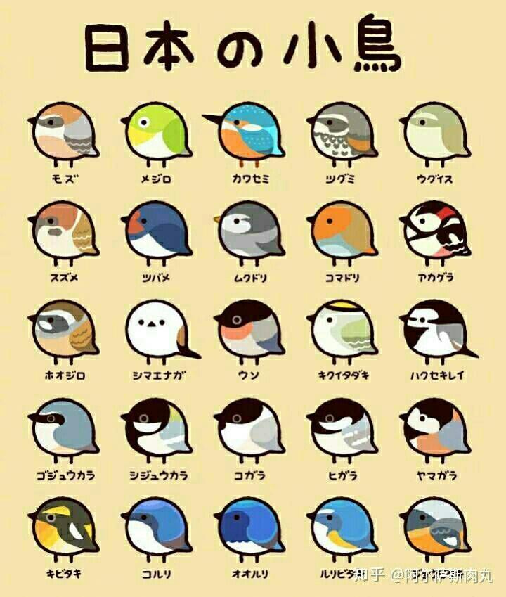 橡皮章