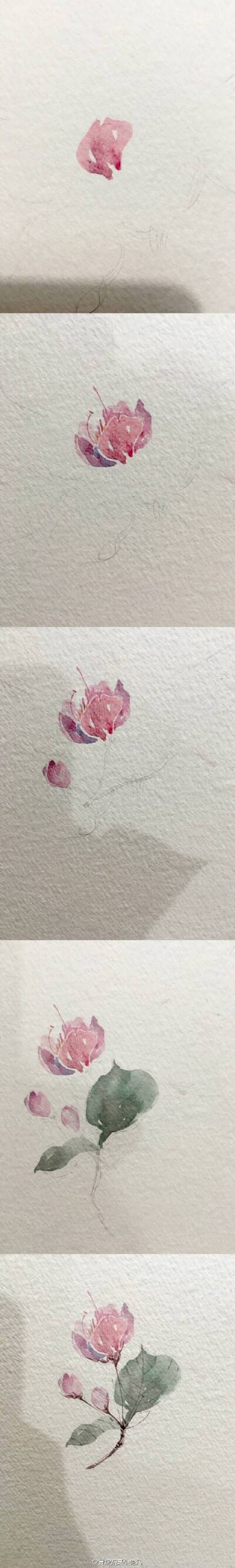 具体绘画过程图见vb：黄婉婉是小兔几 dy：584577978
