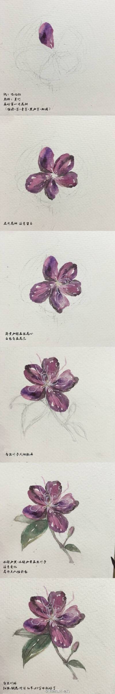 具体绘画过程图见vb：黄婉婉是小兔几 dy：584577978