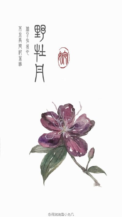 具体绘画过程图见vb：黄婉婉是小兔几 dy：584577978