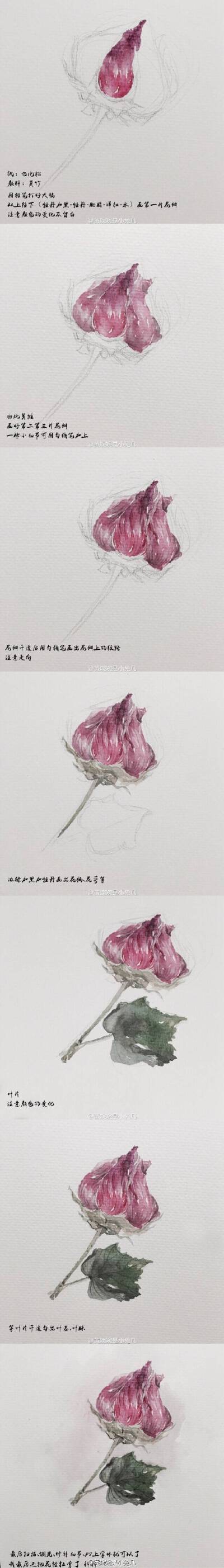 具体绘画过程图见vb：黄婉婉是小兔几 dy：584577978