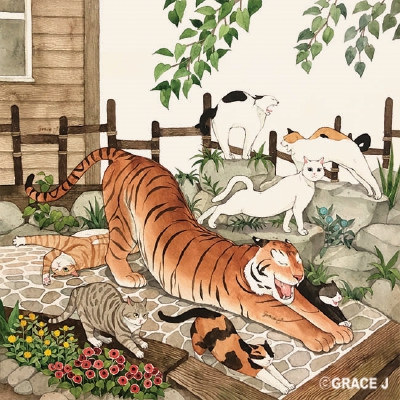 猫咪 水彩 GraceJ插画