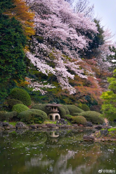 日本