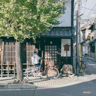 风雅