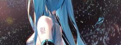 初音未来
miku
VOCALOID
