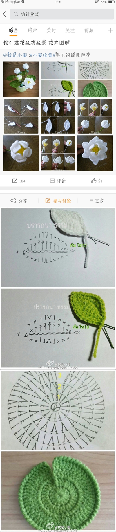 花 植物