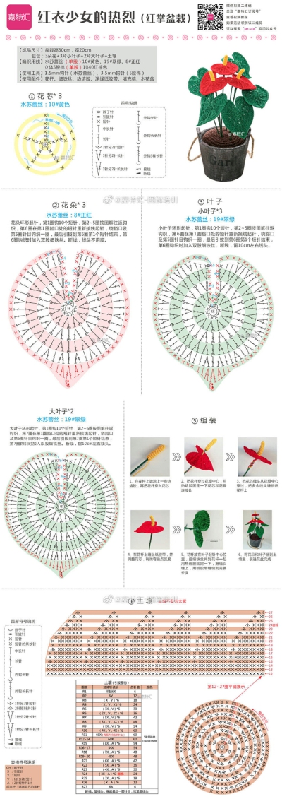 花 植物