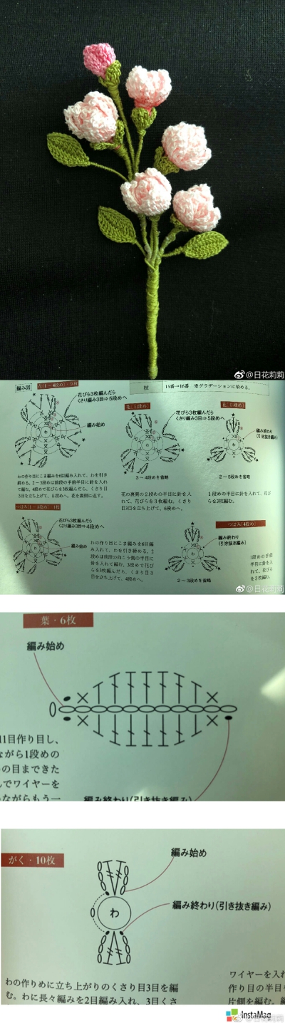 花 植物