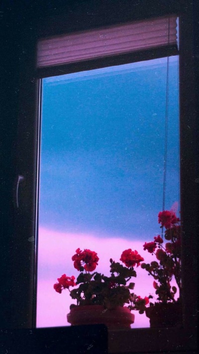 壁纸