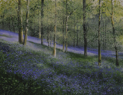 Naomi Tydeman