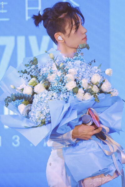 王子异