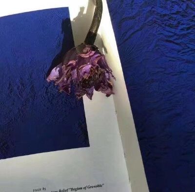 生活不是句子 现实难多了