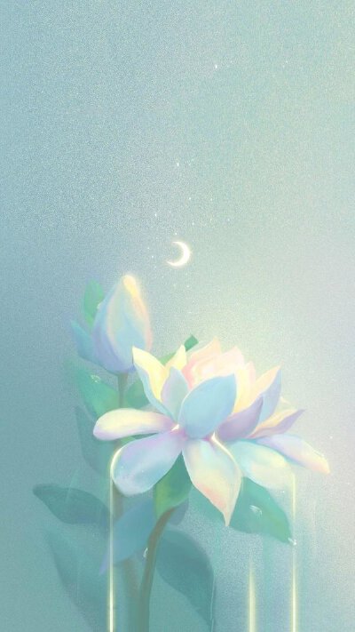 壁纸