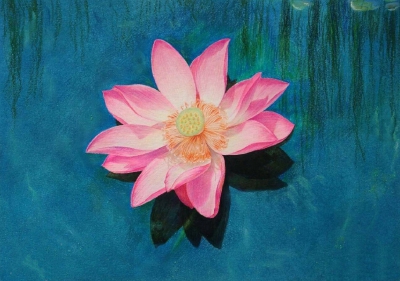 彩铅花卉