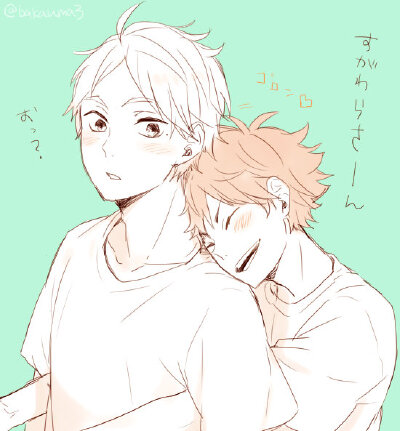 菅原孝支×日向翔阳，菅日