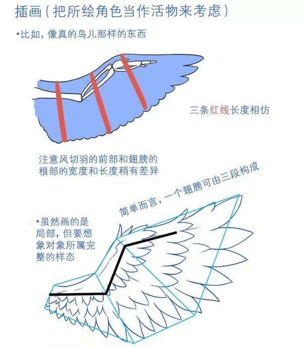 动物