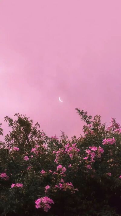 溶素
