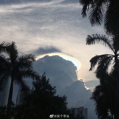 壁纸